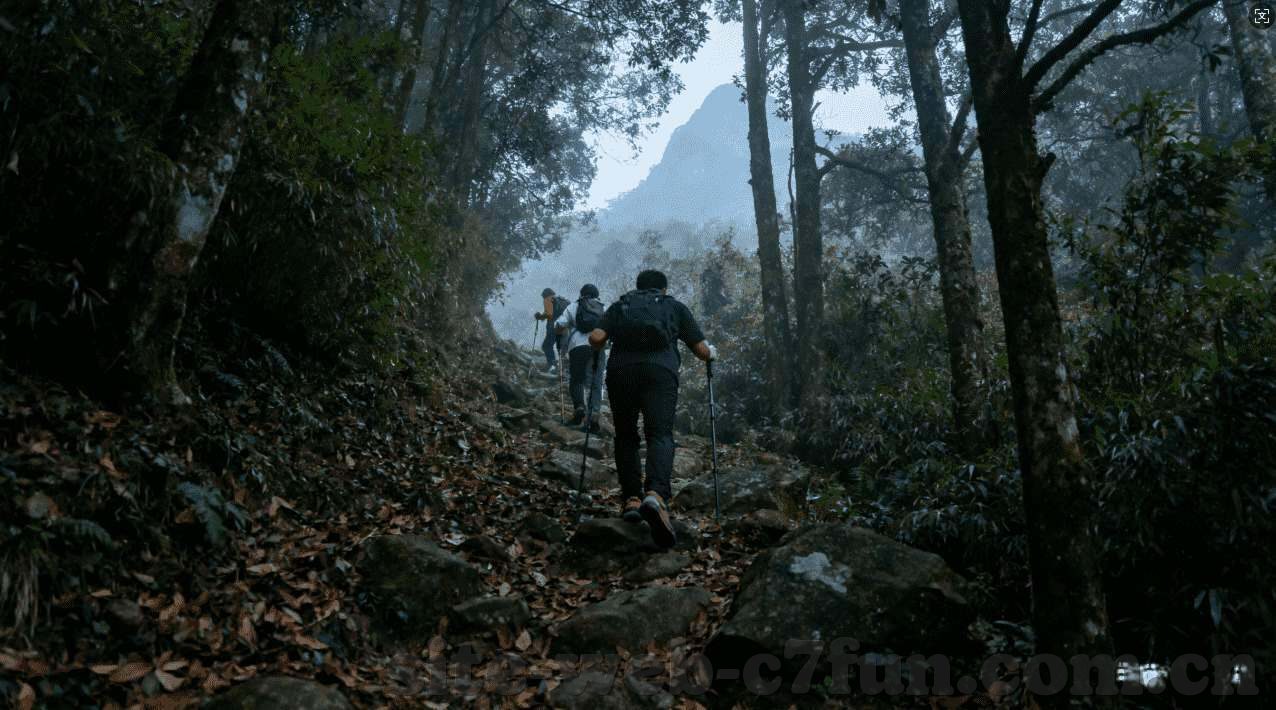 九游单机游戏下载网-九游单机游戏下载网，体验无限可能的单机娱乐新选择